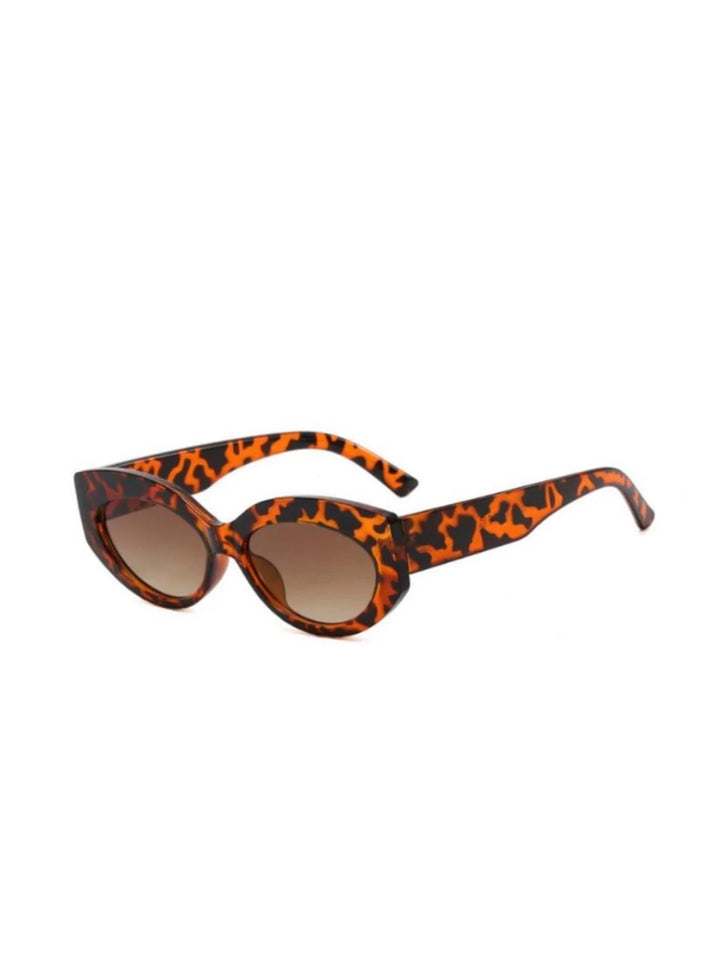 AC HAMPTON TORTOISE