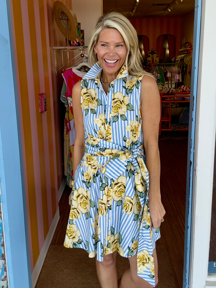 BILTMORE DRESS